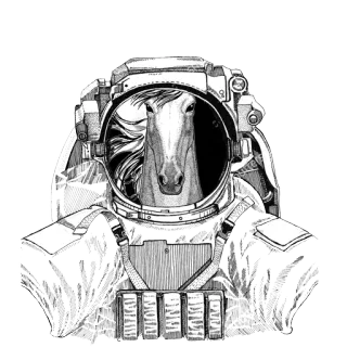 🌌 cavallo, astronauta, tuta spaziale, animale, galassia, spazio telegram sticker