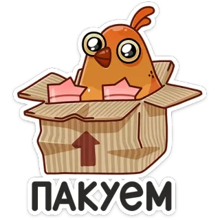 😊 ПАКУЄМ 닭, 상자, 포장, 동물, 귀여운, 새 telegram sticker