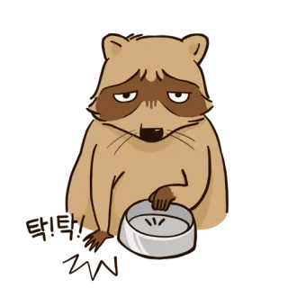😩 Waschbär, traurig, leere Schüssel, Tier, Cartoon telegram sticker