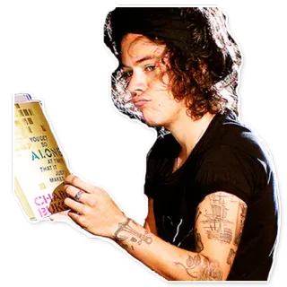 📖 Harry Styles YOU GET SO ALONE AT TIMES THAT IT JUST MAKES chanteur, célébrité, Harry Styles, livre, portrait telegram sticker