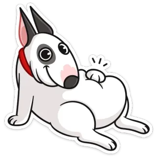 ☺️ собака, животное, питомец, бультерьер, мультик, белая собака, красный ошейник whatsapp sticker