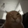 😐