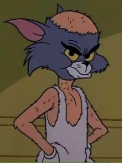 🔗 Tom mèo, hoạt hình, tức giận, vui nhộn, Tom và Jerry telegram sticker