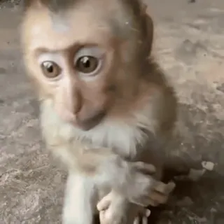 Больше стиков тут: @stikery4 whatsapp stickers