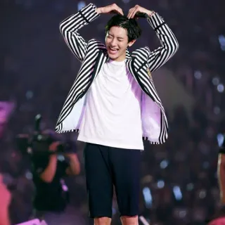 🤣 K-pop, cantante, concierto, sonrisa, corazón telegram sticker