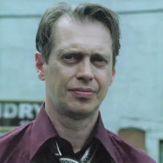🤨 Steve Buscemi นักแสดง, ผู้ชาย, ภาพเหมือน, บูสเชมี telegram sticker