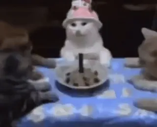 🤩 cat, kitten, birthday, animal, party telegram sticker