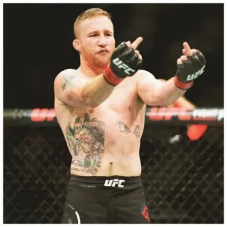 🖕 mma, ufc, 拳手, 中指, 拳击 telegram sticker
