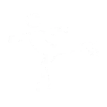 ⛸