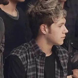 🌙 Niall Horan niall horan, one direction, sänger, promi, profil, männlich telegram sticker