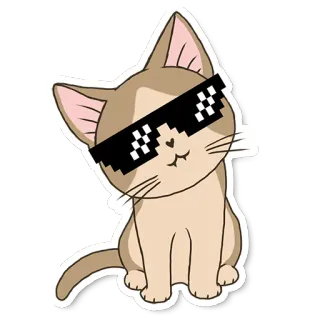 Meowcat whatsapp stickers