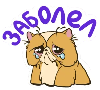 😢 ЗАБОЛЕЛ gatto, piangere, triste, sticker, malato, ammalato telegram sticker