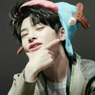🐰 whatsapp sticker