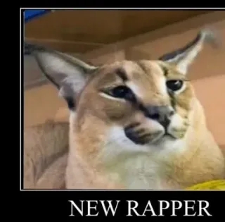 🐱 NEW RAPPER Floppa, Katze, Meme, Rapper, Tier, Big Floppa telegram sticker