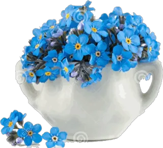 🌹 flower, floral, blue, forget-me-not, bouquet whatsapp sticker