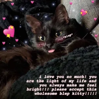 Kawaii_Kawaii @IMG2D whatsapp stickers