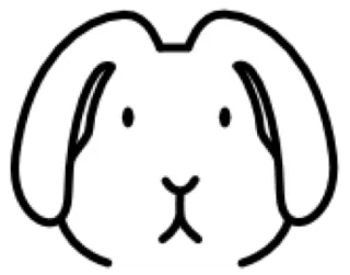 🐰 Hase, Häschen, Tier, niedlich, weiß, Aufkleber, Cartoon telegram sticker