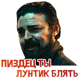 😂 ПИЗДЕЦ ТЫ ЛУНТИК БЛЯТЬ offensive, swear words, insult, russian telegram sticker