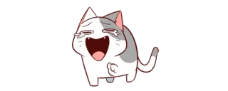 🤣 gato, chorando, rindo, engraçado, meme, animal telegram sticker