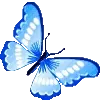 🦋