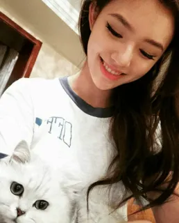 💮 woman, cat, pet, selfie, portrait, animal, girl, smile telegram sticker