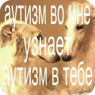 Больше стиков тут: @stikery4 telegram stickers