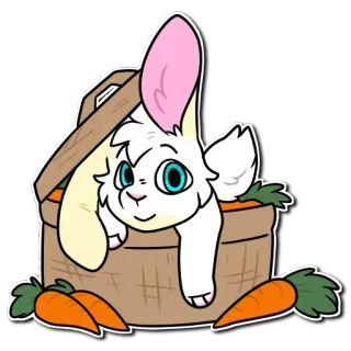 🥕 Bunny telegram sticker