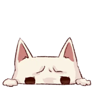 👀 kot, smutny, zwierzę, słodki, podglądanie, biały kot telegram sticker