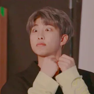 🐰 RM kpop, ca sĩ, bts, hài hước, chân dung telegram sticker