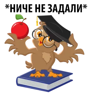 🙃 НИЧЕ НЕ ЗАДАЛИ coruja, livro, maçã, formatura, boné, educação whatsapp sticker
