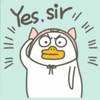 💨 Yes, sir bebek, kartun, hewan, ya, tuan, lucu, hormat telegram sticker