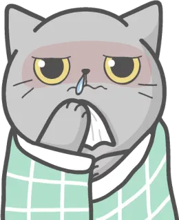 🤧 Katze, krank, Erkältung, Grippe, süß, Tier, Cartoon, Krankheit telegram sticker