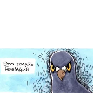 🐦 Это голубь Геннадий pigeon, oiseau, animal, dessin animé whatsapp sticker