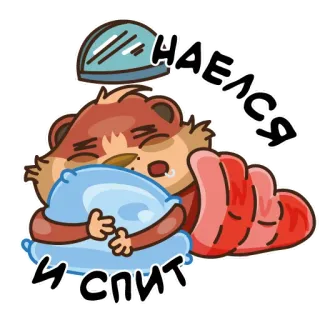 😴 НАЕЛСЯ
И СПИТ сон, животное, подушка, одеяло, милый, отдых, мультфильм whatsapp sticker