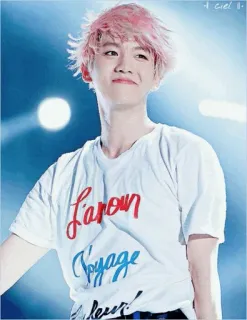 🌺 L'aron
Voyage
devers man, person, pink hair, t-shirt, L'aron, Voyage telegram sticker