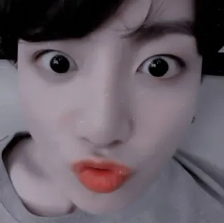 🌟 whatsapp sticker