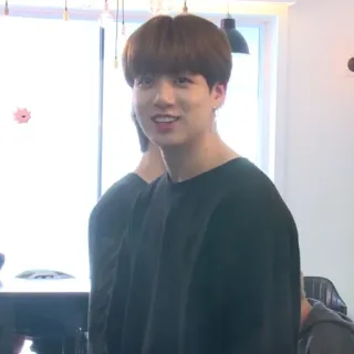 🍃 Jungkook kpop, idol, sänger, koreanisch, männlich, künstler whatsapp sticker