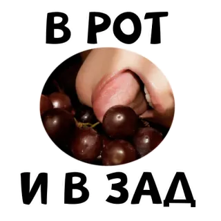 👄 В РОТ И В ЗАД pé, uvas, texto, russo, ofensivo telegram sticker