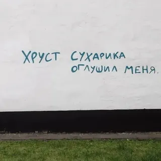 👨‍🎨 ХРУСТ СУХАРИКА
ОГЛУШИЛ МЕНЯ. texto, ruso, pared, graffiti telegram sticker