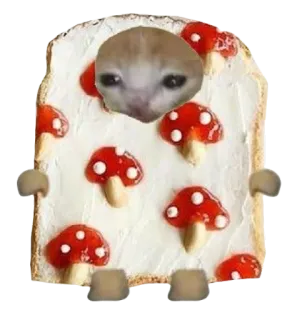 🥛 猫, 表情包, 吐司, 蘑菇, 可爱 telegram sticker