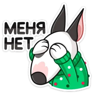 🙈 МЕНЯ НЕТ собака, бультерьер, мультфильм, свитер, прячется, русский, текст, эмоции telegram sticker