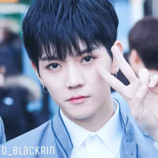 ✨ D_BLACKRIN person, porträt, junger mann, k-pop telegram sticker