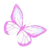 🦋