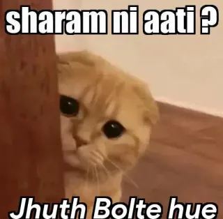👀 sharam ni aati ?
Jhuth Bolte hue gato, gracioso, meme, vergüenza, mentira telegram sticker