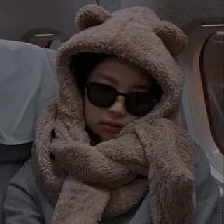 🍂 persona, gafas de sol, bufanda, sombrero, retrato, avión telegram sticker