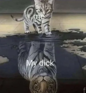 😈 me
My dick chat, tigre, reflet, animal, humour, offensant telegram sticker