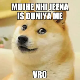 🥺 MUJHE NHI JEENA
IS DUNIYA ME
VRO doge, 表情包, 搞笑, 印地语, 文字, vro telegram sticker