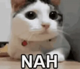 😩 NAH 猫, いいえ, 拒否, 動物, ミーム telegram sticker
