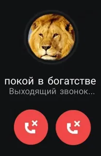 📲 покой в богатстве
Выходящий звонок... 来电, 电话, 狮子, 和平与财富, 去电 telegram sticker