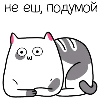 🍔 не еш, подумай แมว, การ์ตูน, รัสเซีย, อาหาร, น่ารัก telegram sticker